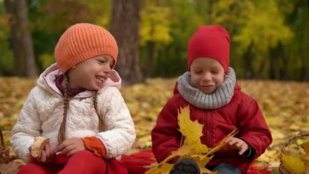Pequena Criança Pré Escolar Feliz Irmãos Amigo Menina Menino Sorrindo — Vídeo de Stock