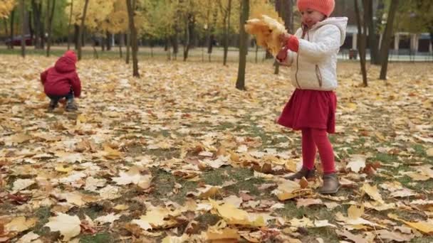 秋の自然を楽しむ公園の森を歩く2つの幸せな面白い子供たち少年少女天候 木の後ろに隠れて遊んでキノコの収穫を探して バスケットに落ち葉を収集します — ストック動画