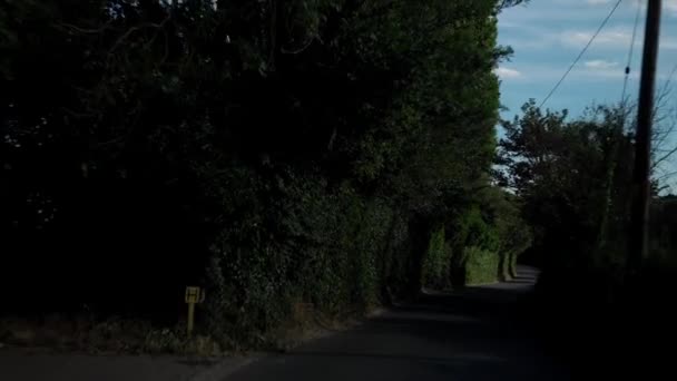 Güneşli Bir Günde Yeşil Ağaçlar Arasından Araba Penceresinden Yola Işıldayan — Stok video