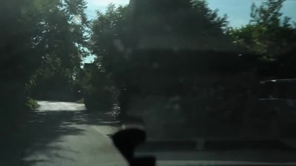 Way Green Trees Arch Road Sunny Day Side View Car — Vídeo de stock