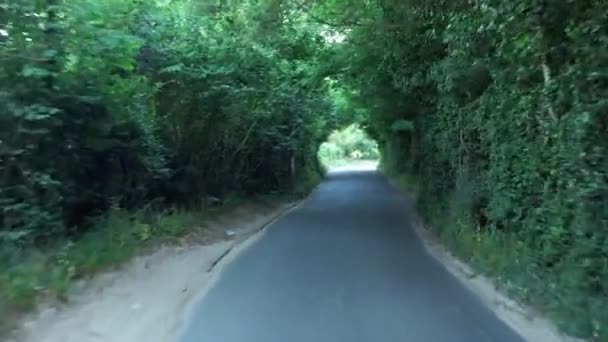 Way Green Trees Arch Road Sunny Day Dalam Bahasa Inggris — Stok Video