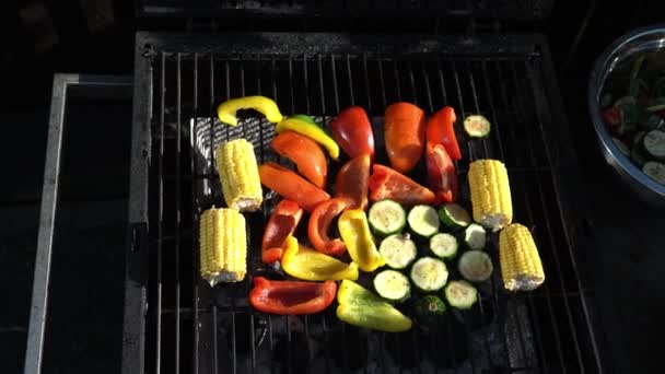 Fresh Grilled Vegetables Barbecue Dinner Healthy Food Summer Family Evening — Vídeos de Stock