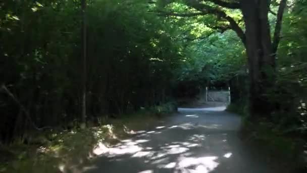 Путь Через Зеленые Деревья Арка Над Дорогой Солнечный День Вид — стоковое видео