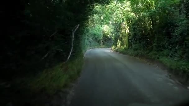 Way Green Trees Arch Road Sunny Day Dalam Bahasa Inggris — Stok Video