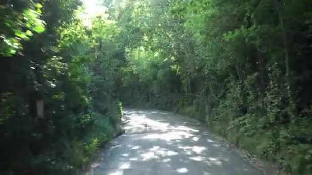 Way Green Trees Arch Road Sunny Day Side View Car — Stockvideo