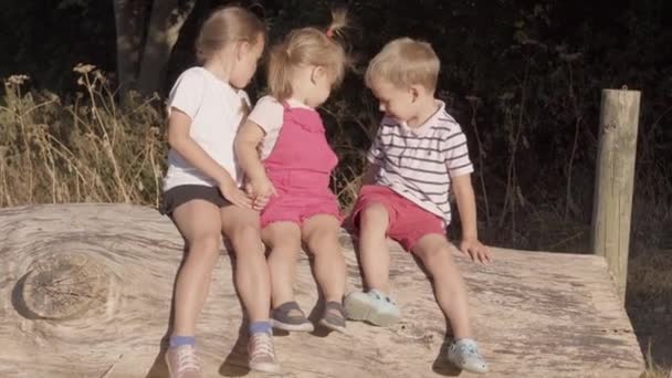 Baby Sisters Brother Playing Forest Park Three Siblings Have Fun — Video Stock