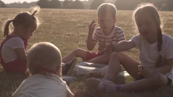 Люди Парку Щасливий Сімейний Силует Сидить Траві Заході Сонця Матуся — стокове відео