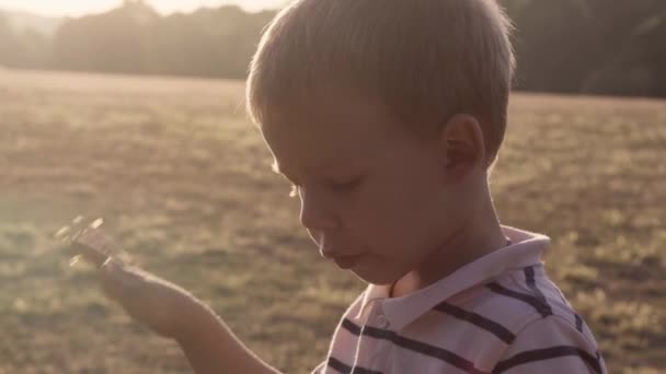 Люди Парку Щасливий Сімейний Силует Сидить Траві Заході Сонця Матуся — стокове відео