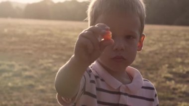 people in the park. happy family silhouette sitting on grass at sunset. mom with three kids eating fruits Grapes snack picnic time. children playing spend time outside. parents Friendship Siblings.