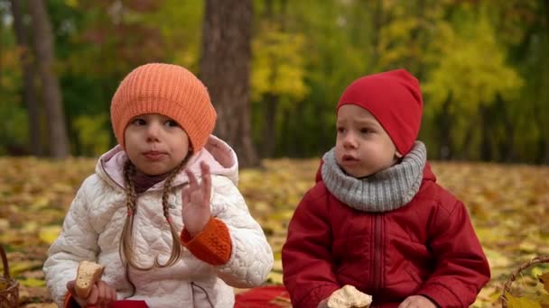 Little Happy Przedszkola Kid Rodzeństwo Przyjaciel Dziewczyna Chłopiec Uśmiech Zabawy — Wideo stockowe