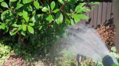 Bahçenin arka bahçesindeki çim bitkilerini sulayan komik küçük çocuk. Sıcak güneşli bir yaz gününde sulama hortumuyla oynayan sevimli bir çocuk. Çocuklar ev işlerine yardım eder. Çocuklar için etkinlik. Çocukluk.