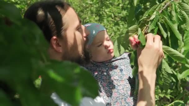 Jeune Père Avec Barbe Nourrit Enfant Père Petite Fille Tout — Video