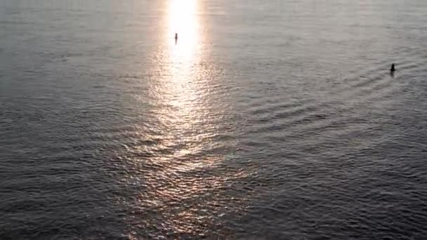 トップ空中ビュー漁船の海を移動します 日の出の日没時にドニプロ川の釣り人とモーターボートをセーリング キエフの湖の上の橋の風景ウクライナの都市 水の輸送旅行夏 — ストック動画