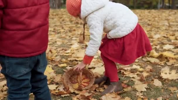 两个快乐有趣的孩子 男孩女孩在公园的森林里散步 享受秋天的自然天气 小孩在篮子里收集落叶 寻找躲在树后的蘑菇的收获 — 图库视频影像