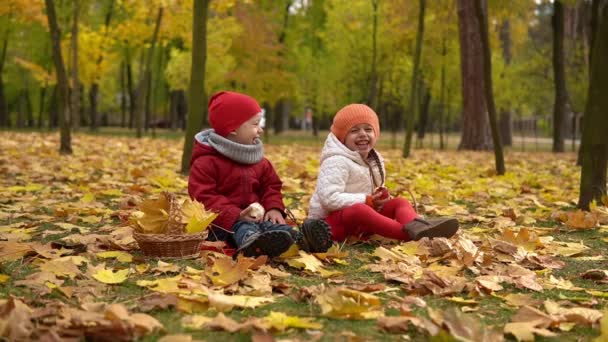 小さなかわいい就学前の赤ちゃんの弟の女の子と男の子は赤で微笑む再生黄色の落ち葉バスケットで食べる秋の公園でカメラの寒さを見て赤いアップル 子供時代 秋のコンセプト — ストック動画