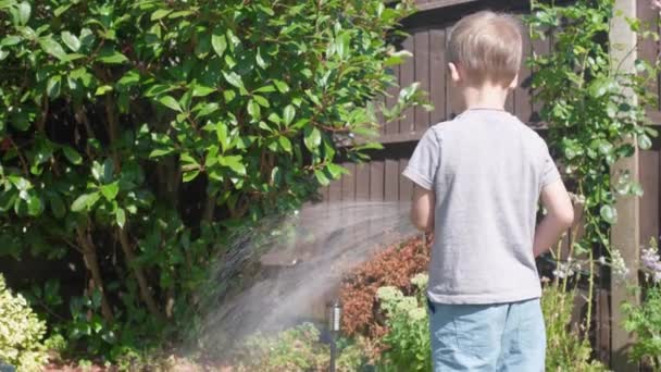 Zabawny Chłopczyk Podlewający Trawniki Ogródku Urocze Dziecko Bawiące Się Wężem — Wideo stockowe