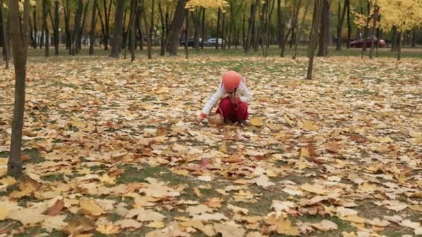 Jedna Ładna Dziewczynka Czerwieni Spaceruje Samotnie Lesie Parku Ciesząc Się — Wideo stockowe