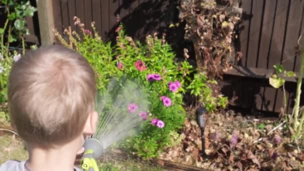 有趣的小男孩在花园后院里浇灌草坪植物 可爱的孩子在室外阳光灿烂的炎热夏天玩灌溉软管 孩子们帮助做家务活 给孩子们的活动 — 图库视频影像