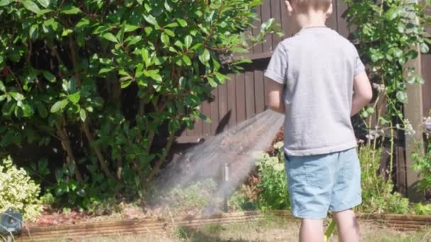 Lustiger Kleiner Junge Der Rasenpflanzen Garten Gießt Der Hinterhof Liegt — Stockvideo