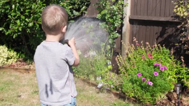 Αστεία Μικρό Αγόρι Πότισμα Φυτών Γκαζόν Στον Κήπο Κατοικία Πίσω — Αρχείο Βίντεο