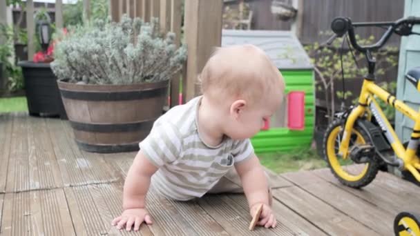 庭で遊んでいる幸せな笑顔の男の子の子供 面白い子供の最初の手順を実行して歩く 素足で積極的な精力的な胃 階段を登れ — ストック動画