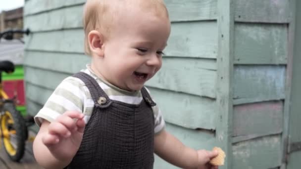 아이들 걸음마하는 아이들 엄마가 즐겁게 정원에서 재미있는 아이가 걸음을 내딛고 — 비디오