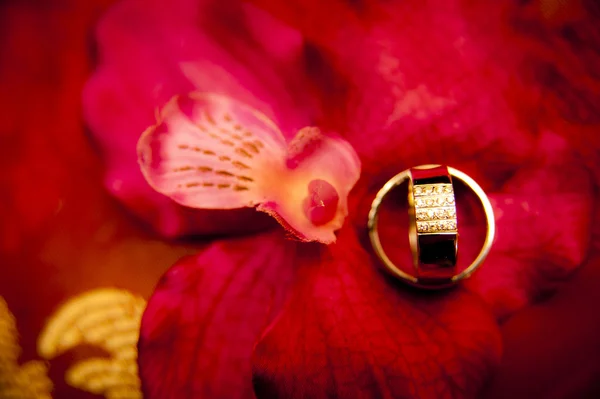 Обручальные кольца на фоне цветов — стоковое фото