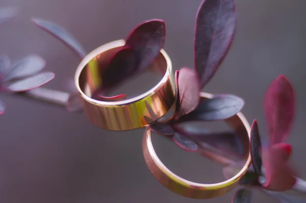 在鲜花的结婚戒指 — 图库照片
