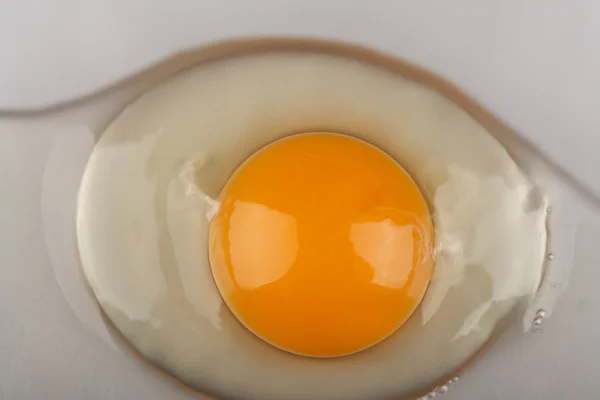 Ägg — Stockfoto