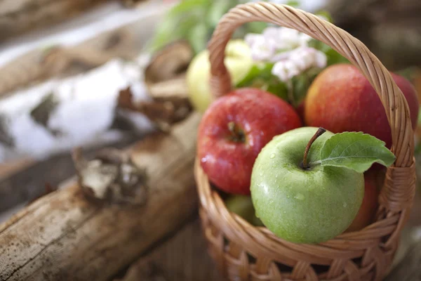 Apples — Stock Photo, Image