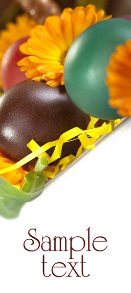 Uova e fiori — Foto Stock