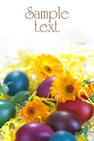 Eggs and flowers — Stock Photo, Image