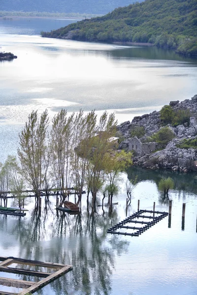 Скадарського озеро — стокове фото