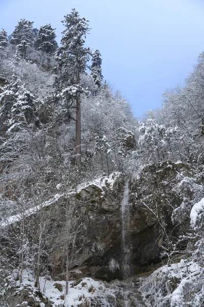 Winterlandschaft — Stockfoto