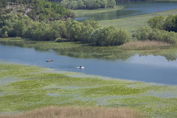 Lake Skadar — Stock Photo, Image