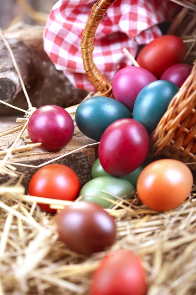 Цветное яйцо — стоковое фото