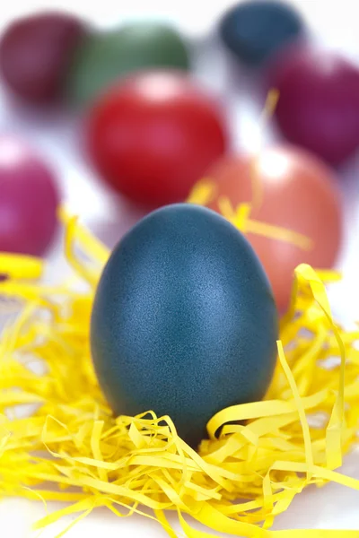 Colored egg — Stock Photo, Image