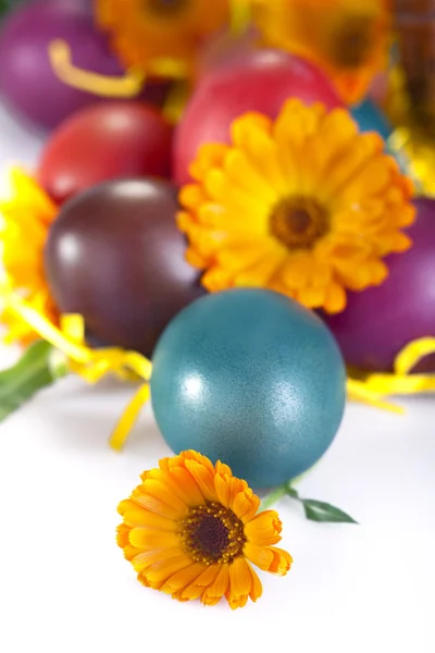 Цветное яйцо — стоковое фото