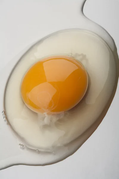 Yema de huevo —  Fotos de Stock