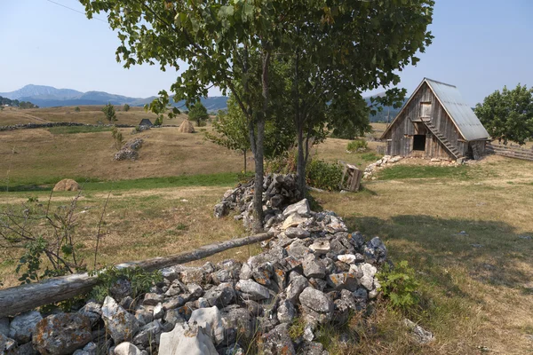 På berget höjder — Stockfoto