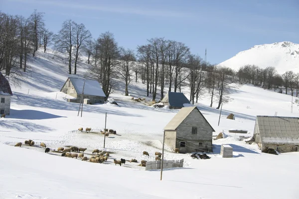 Winter landscape — Stock Photo, Image