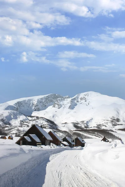 Kış manzarası — Stok fotoğraf