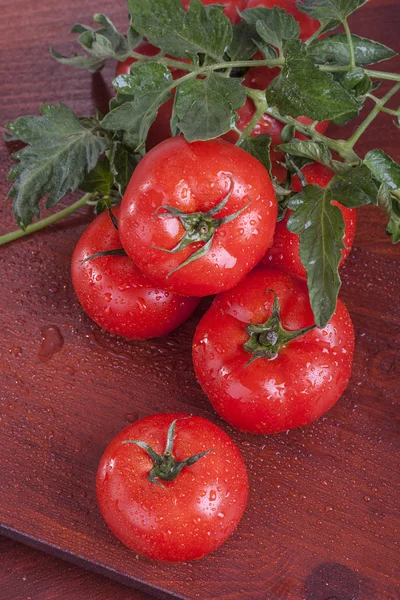 Tomaten — Stockfoto