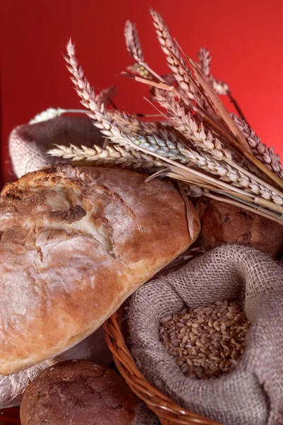 Hembakat bröd — Stockfoto