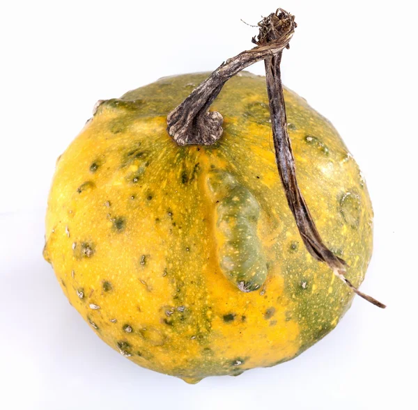 Pumpkin — Stock Photo, Image