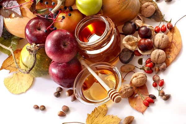Frutas de otoño — Foto de Stock