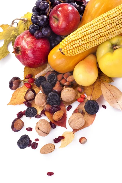 Podzimní ovoce — Stock fotografie