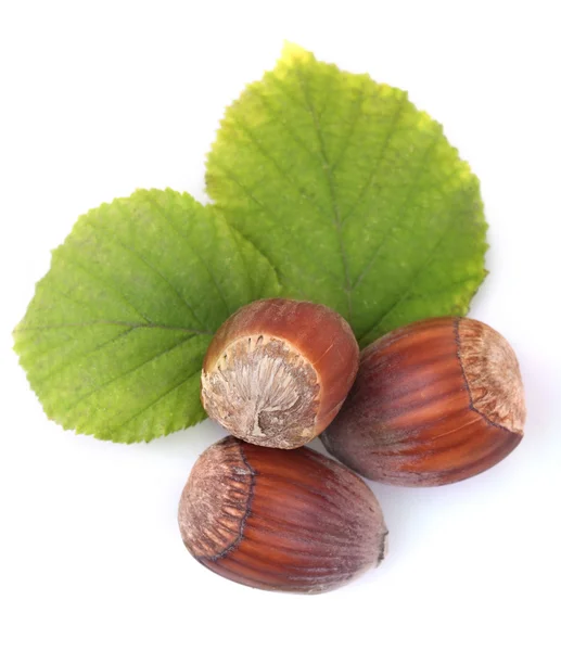 Hazelnuts — Stock Photo, Image