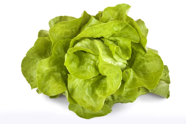 Salad — Stock Photo, Image