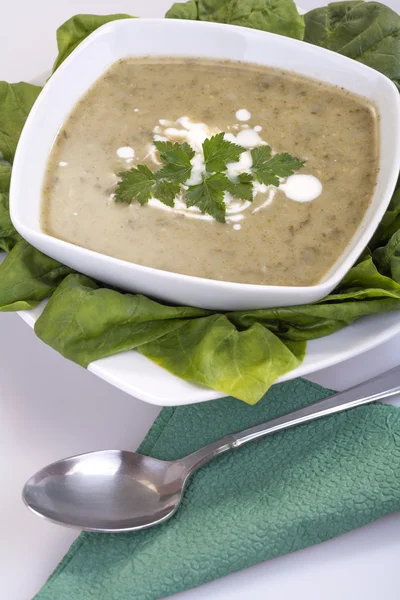Špenátová polévka — Stock fotografie